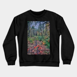 Track Trough Autumn Crewneck Sweatshirt